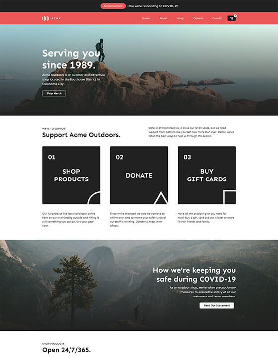 Website Template preview 2